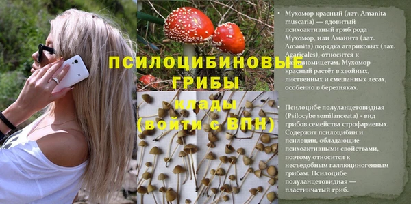 герыч Верхний Тагил