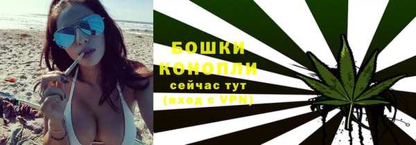 крисы Верея