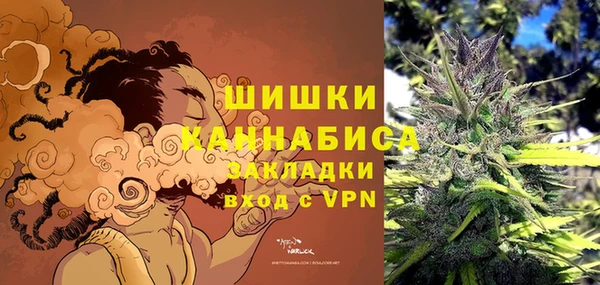 крисы Верея