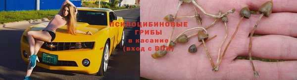 крисы Верея
