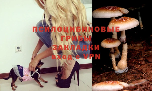 крисы Верея