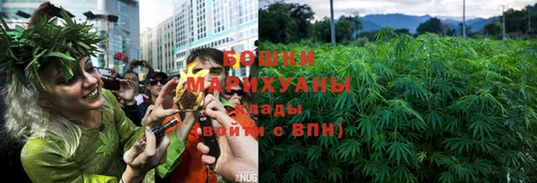 крисы Верея