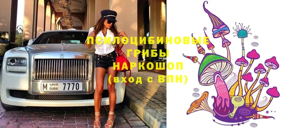 крисы Верея