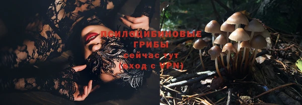 герыч Верхний Тагил