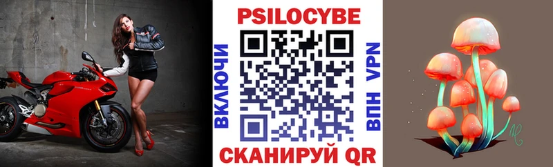 Псилоцибиновые грибы Cubensis  Купить где  Мариинск 